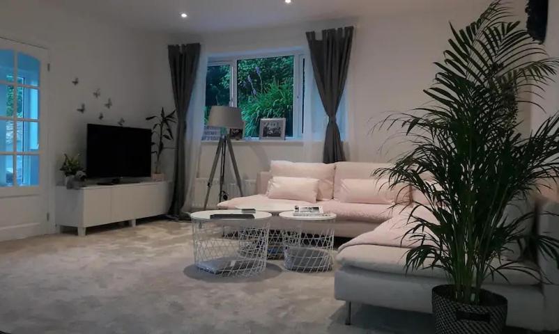 Sunny-Side-Up Villa St Austell Buitenkant foto